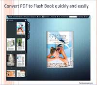 convert pdf to flash book quickly