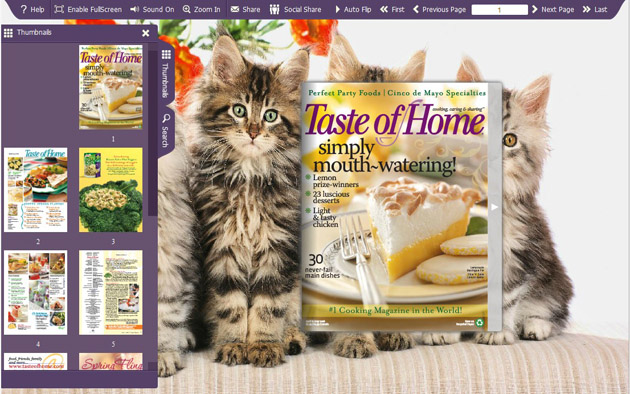 Windows 7 FlashBook Templates for Pet Cat Style 1.0 full