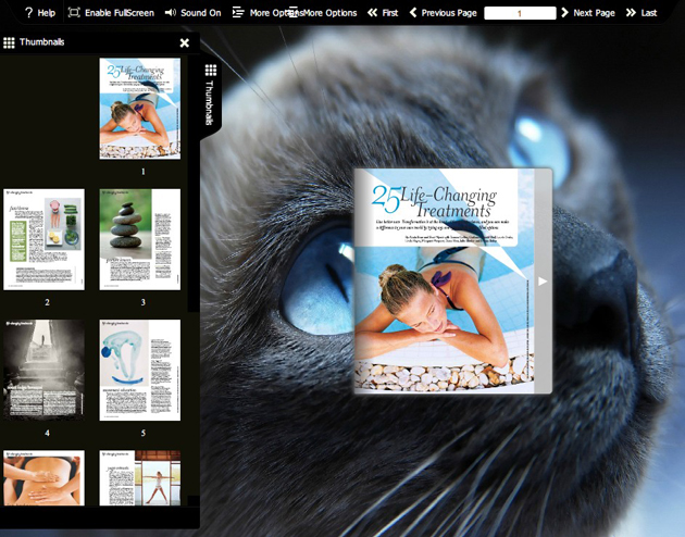 Flash flip book theme of Pets screenshot