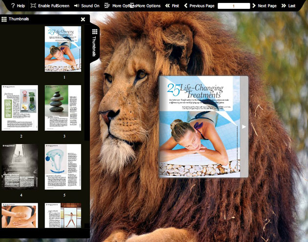 Flash flip book theme of Wild Life 1.0 full